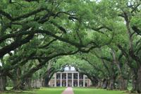 Oak Alley Plantage