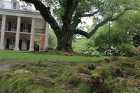 Oak Alley Plantage