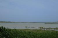 Im Nationalpark Vendicari