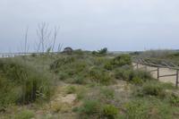 Im Nationalpark Vendicari