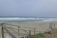 Im Nationalpark Vendicari