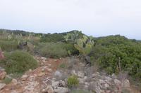 Im Nationalpark Vendicari