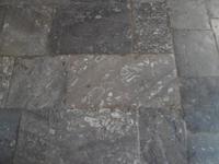 Muschelstein in der Kathedrale in Cefalu