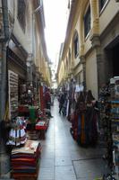 Stadtrundgang in Granada