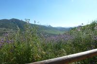 Blick von der via verde de la sierra