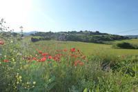 Blick vom Hotel Cortjio Salinas - nahe Ronda