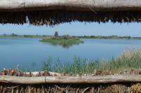 Radtour im Nationalpark Donana