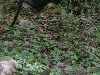 unterwegs im Nationalpark Paklenica