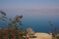 Totes Meer (Fotografin: Evelyn Gradt)