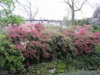 Verbania-Villa Taranto