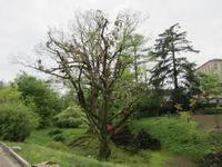 Verbania-Villa Taranto