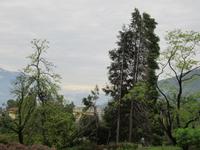 Verbania-Villa Taranto