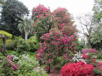 Tremezzo-Villa Carlotta