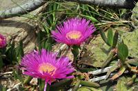 Wanderung auf Lipari