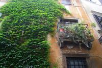 Spaziergang durch die Via dei Coronari