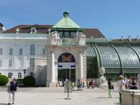 Schmetterlingshaus an der Alpertina