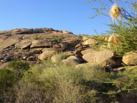 Erongo Berge