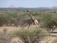 Ameib Ranch