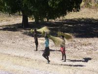 Transport der Strohballen