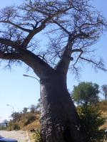 Grenze zu Botswana