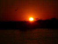 Sonnenuntergang am Chobe