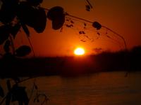 Sonnenuntergang am Chobe
