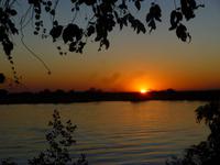 Sonnenuntergang am Chobe