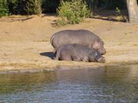 Bootsfahrt auf dem Chobe
