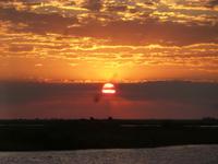 Bootsfahrt auf dem Chobe