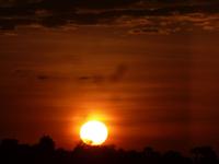 Sonnenuntergang auf dem Zambesi