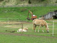 Weiterfahrt nach Cavalese