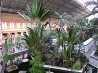 im Atocha-Bahnhof in Madrid