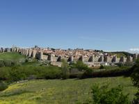 Avila
