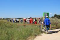 Im Naturschutzgebiet am Rio Sado