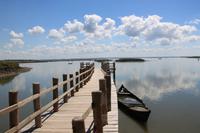 Im Naturschutzgebiet am Rio Sado
