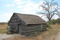 Strohgedeckte Fischerhütte am Rio Sado