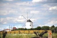 Fahrt durch die Region Alentejo an die Algarve - Mühle