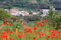 Bergdorf in den Monchique-Bergen