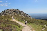 Am höchsten Berg der Serra de Monchique - Fóia