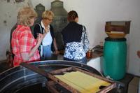 Honig-Verkostung in den Monchique-Bergen