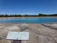 Turquoise Pool
