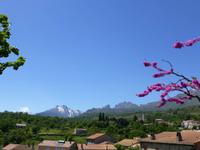 Blick zum Monte Cinto im Niolo