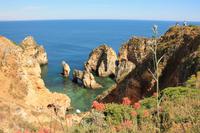 An der Felsenküste Ponta da Piedade bei Lagos - Algarve
