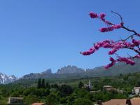 Gebirgspanorama Korsika