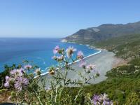 Nonza - Strand mit Monte Cuccero