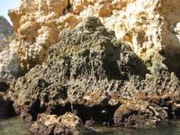 Die Felsen am Ponta da Piedade 