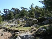 Bergwelt in den Alta Rocca