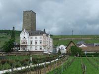 Die Brömserburg in Rüdesheim