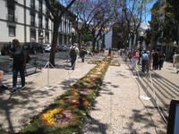 Blumenteppich in Funchal