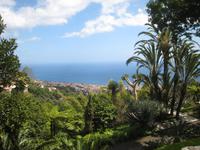 Blick von Monte auf Funchal
